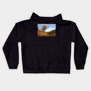 Walking over Holme Fell Kids Hoodie